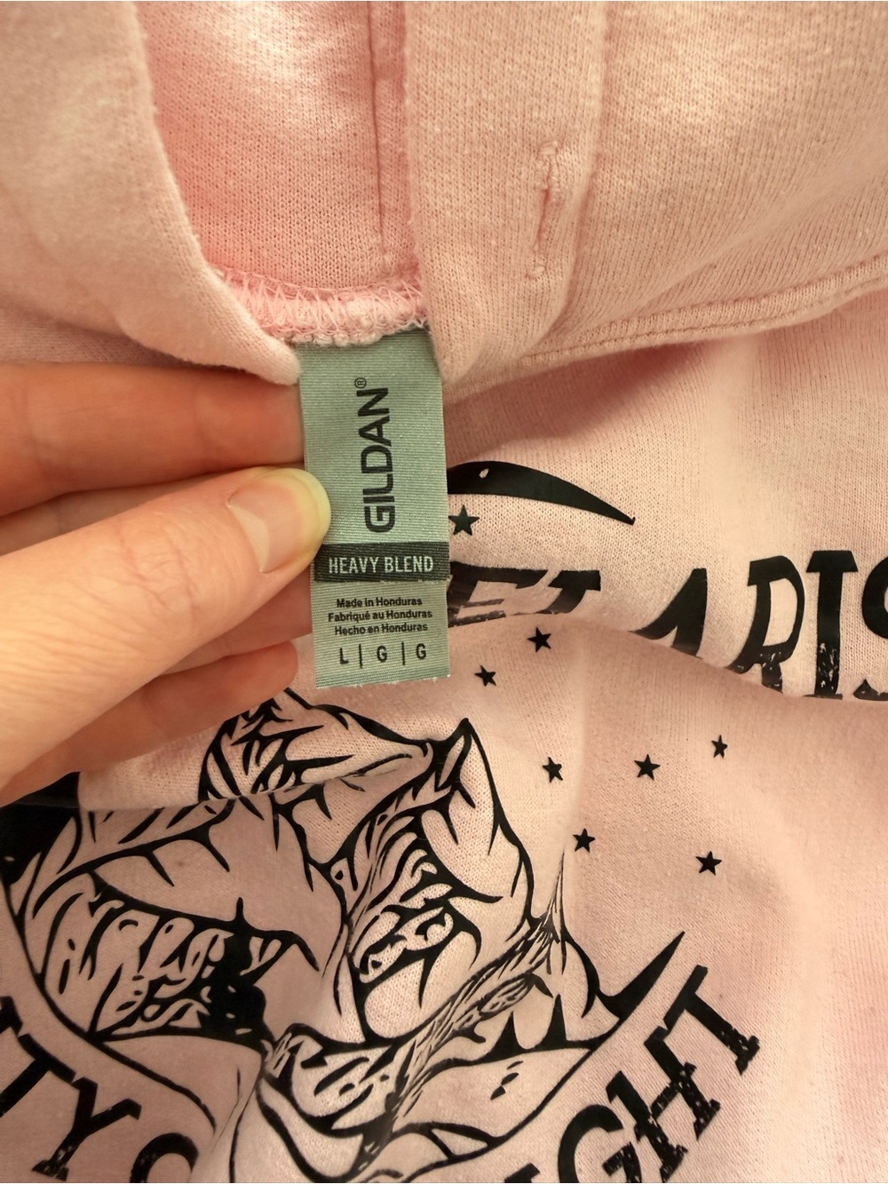 Gildan Pink "Velaris City of Starlight" Graphic Hoodie - Picture 3 of 3